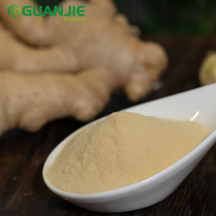 Ginger Bulk Powder
