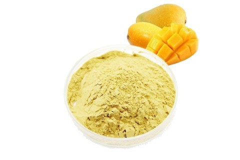 mango powder suppliers mango powder suppliers